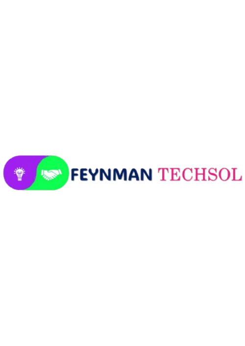 FEYNMAN TECHSOL